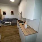 Garsoniéra Centr, Na Hradbách 118 Appartement *