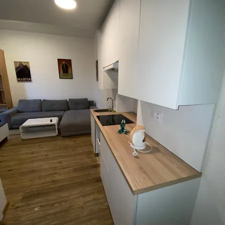 Garsoniera - Centrum U Jiraskova Namesti 公寓 *