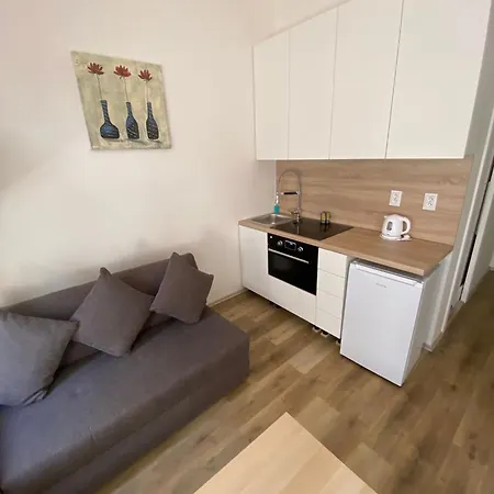 Garsoniera - Centrum U Jiraskova Namesti * 俄斯特拉发