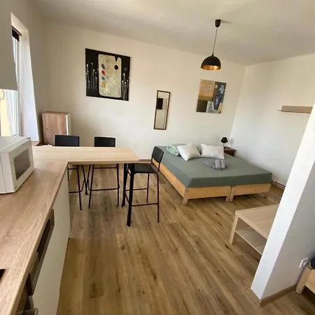 Lägenhet Garsoniera Centr, Na Hradbach 118 Ostrava