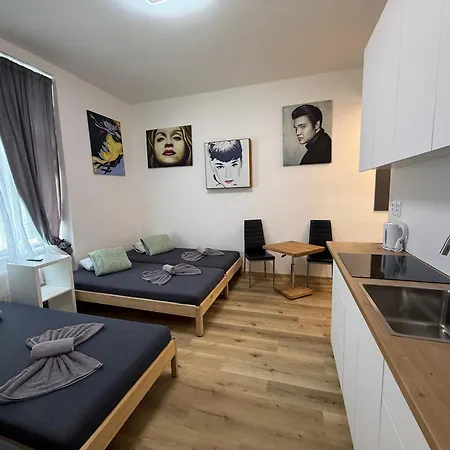 Garsoniera - Centrum U Jiraskova Namesti Апартаменты *