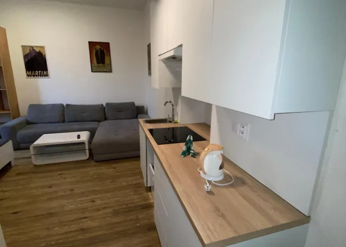 Garsoniera Ostrava - Centrum U Jiraskova Namesti Apartment *