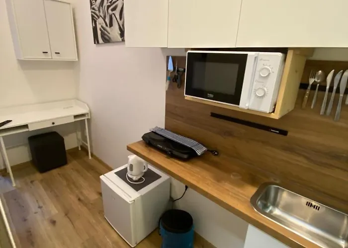 Garsoniera Ostrava - Centrum U Jiraskova Namesti Apartment