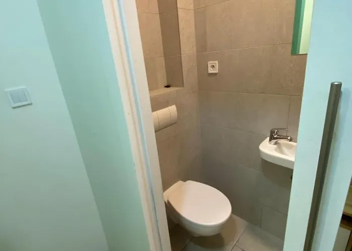 Garsoniera Ostrava - Centrum U Jiraskova Namesti Apartament